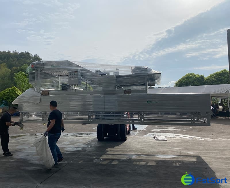 images/1747990870679process garlic.jpg